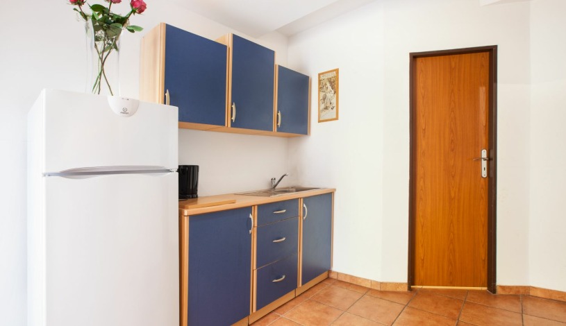 Apartment House Zizkov Praha