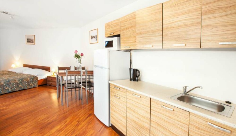 Apartment House Zizkov Praha - Apartament (1 sypialnia) - 3 osoby