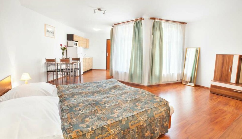 Apartment House Zizkov Praha - Apartament (1 sypialnia) - 3 osoby
