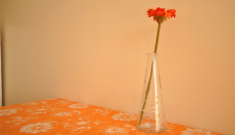 Apartment Griva Digeni Attica - Apt 31594