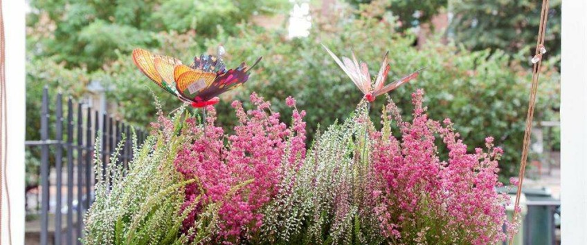 Apartment Hackney Road London - Apt 17668