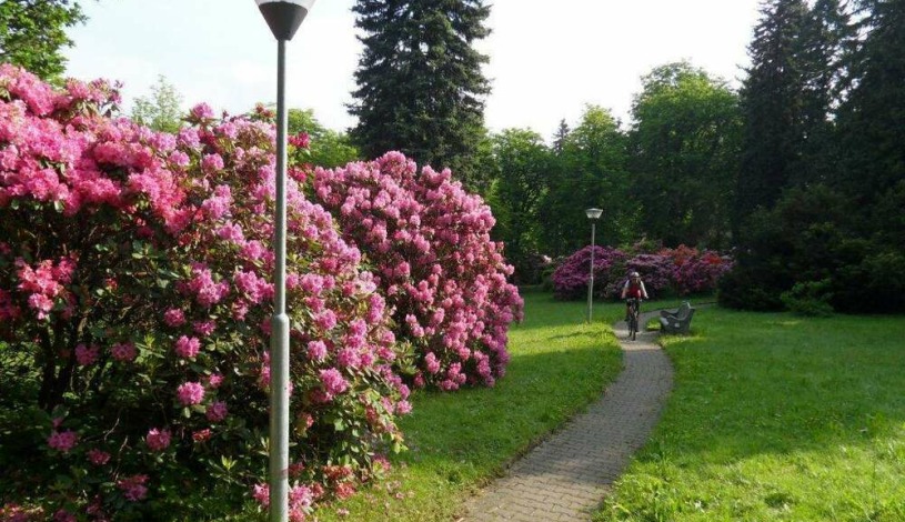 Hotel Haná Mariánské Lázně