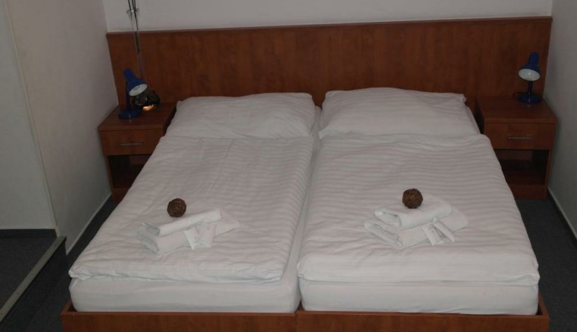 HOTEL HARRACHOVKA-WELLNESS Harrachov - Dvoulůžkový (1/2)