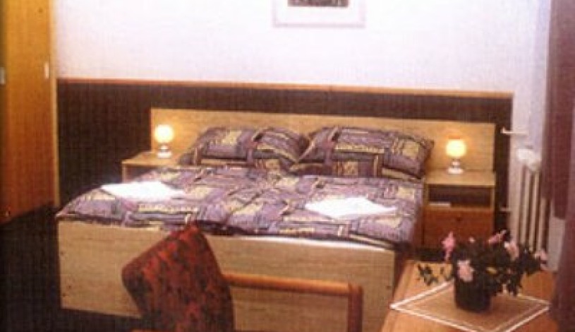 Hotel Hasa Praha - Apartament