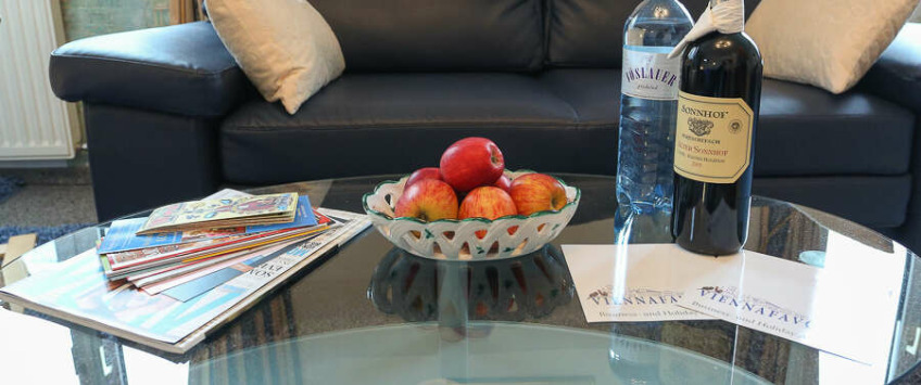 Apartment Herzgasse Wien - Apt 35854