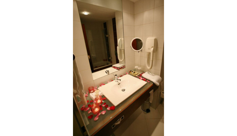 HOTEL HOLIDAY INN BRNO Brno