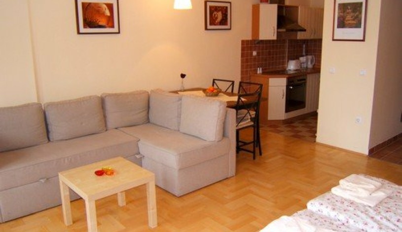 Apartment Holló utca Budapest - Apt 2016