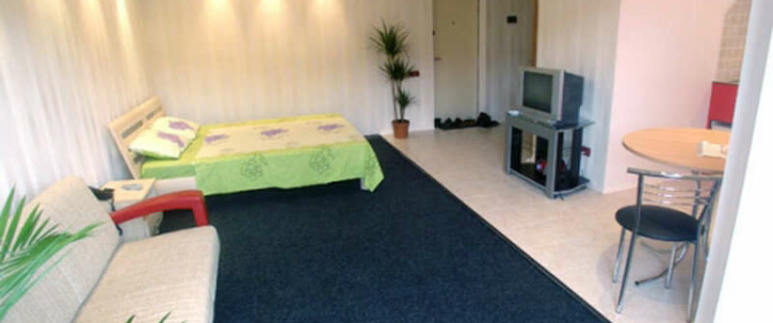 Apartment Horkoho Kiev - Apt 22910