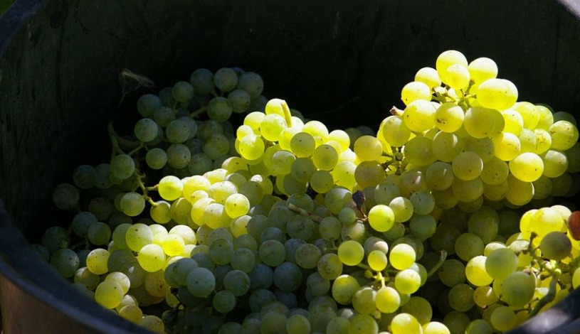 Hotel APOLLON Valtice