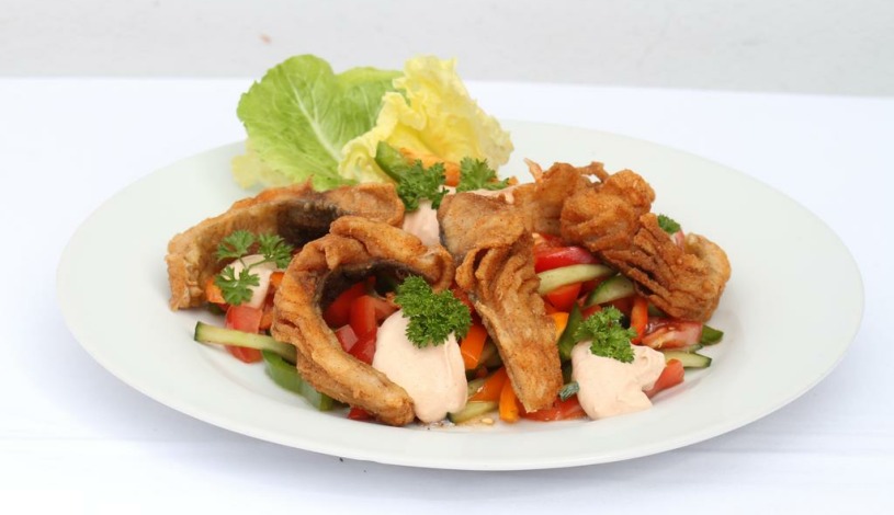 Hotel Bílý Koníček Třeboň