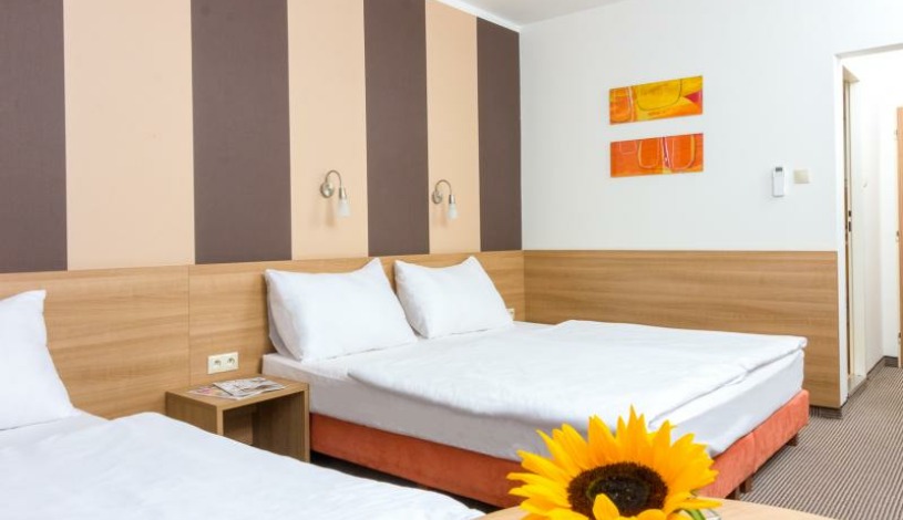 HOTEL BRATISLAVA Bratislava - Standard twin