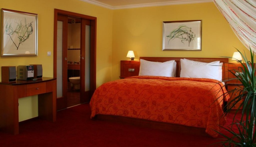 Hotel Česká koruna Děčín