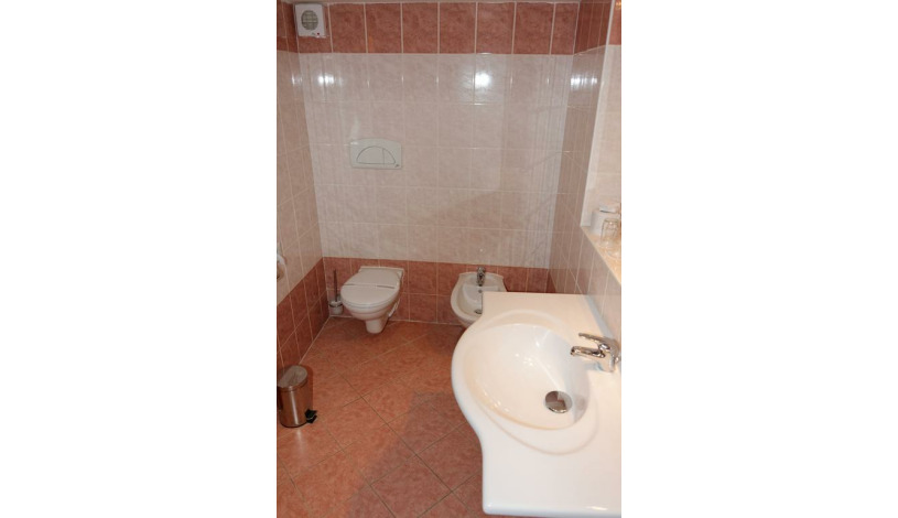 Hotel Česká koruna Děčín