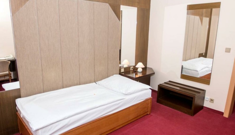 Hotel Česká koruna Děčín