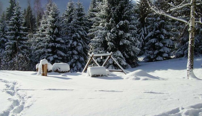 Hotel Diana Harrachov