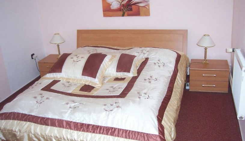 Hotel Ferdinand Ostrava - Dvoulůžkový pokoj
