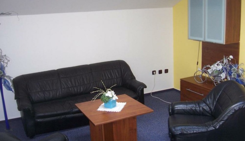 Hotel Ferdinand Ostrava - Stylově zařízený apartmán