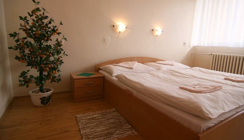 Hotel Flóra Dudince