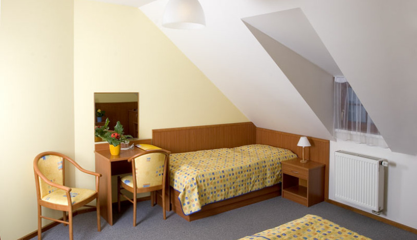 Hotel Galerie Třeboň Třeboň - Jednolůžkový pokoj, Dvoulůžkový pokoj