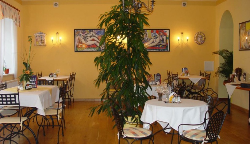 Hotel Galerie Třeboň Třeboň