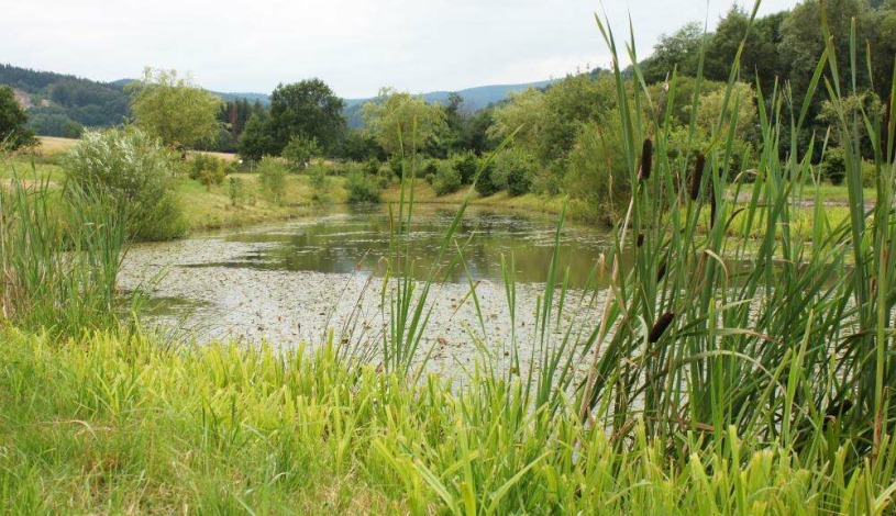 Wellness hotel Helios Lipová-lázně