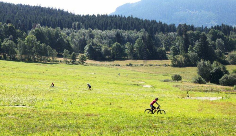 Wellness hotel Helios Lipová-lázně