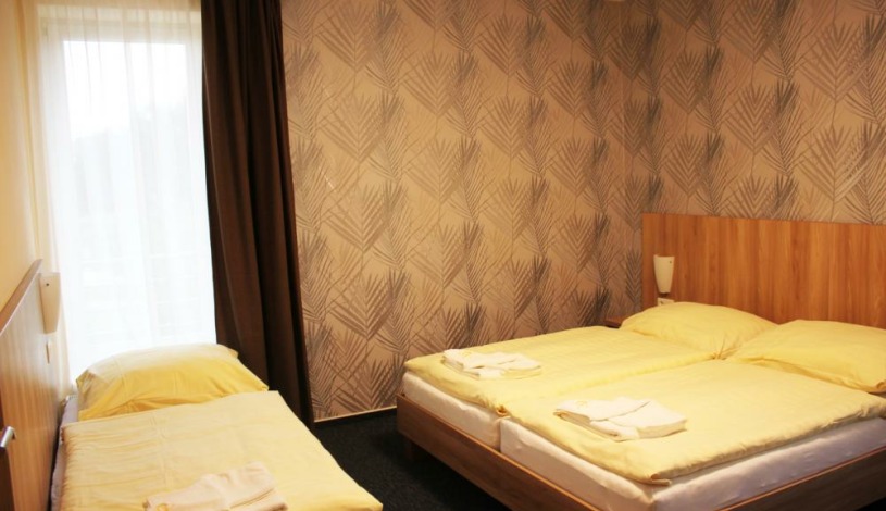 Wellness hotel Helios Lipová-lázně