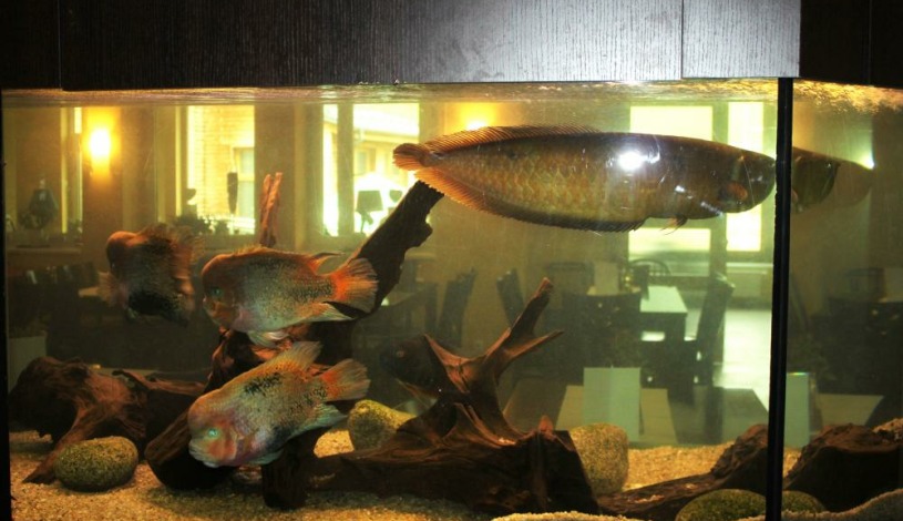 Wellness hotel Helios Lipová-lázně