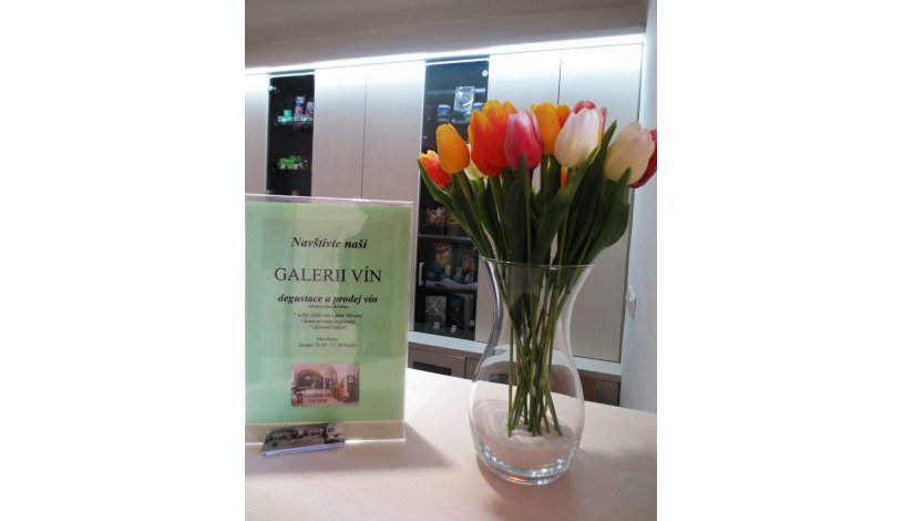 Hotel Hubertus Valtice