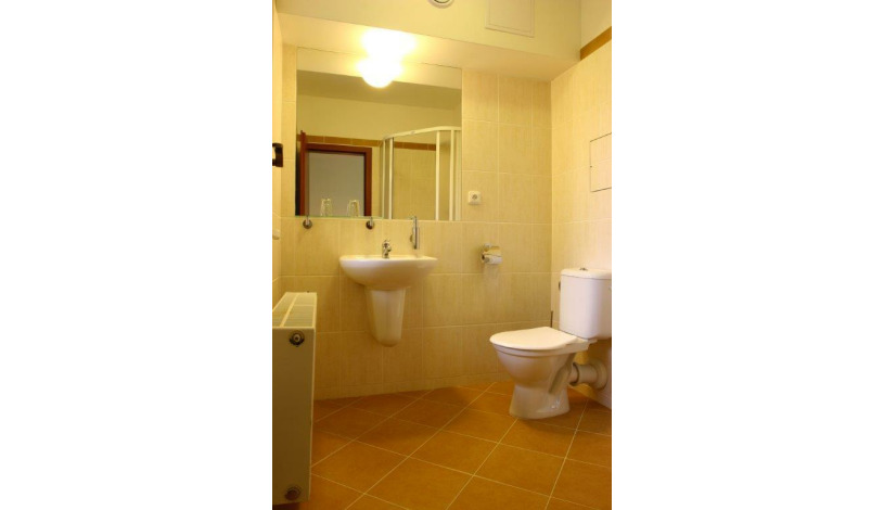 Hotel Lesní chata *** Kořenov