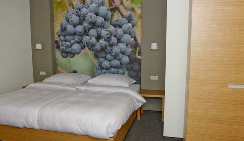 Hotel Lidový dům Bzenec