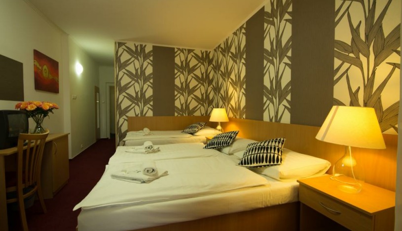 HOTEL MAROLI MIKULOV Mikulov - Třílůžkový pokoj