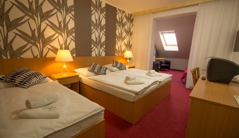 HOTEL MAROLI MIKULOV Mikulov - Třílůžkový pokoj