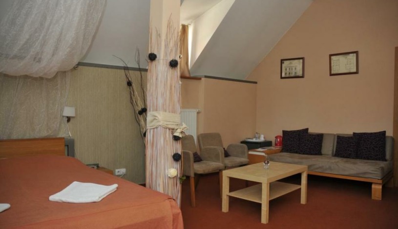 Hotel Merlot Louny - Jednolůžkový