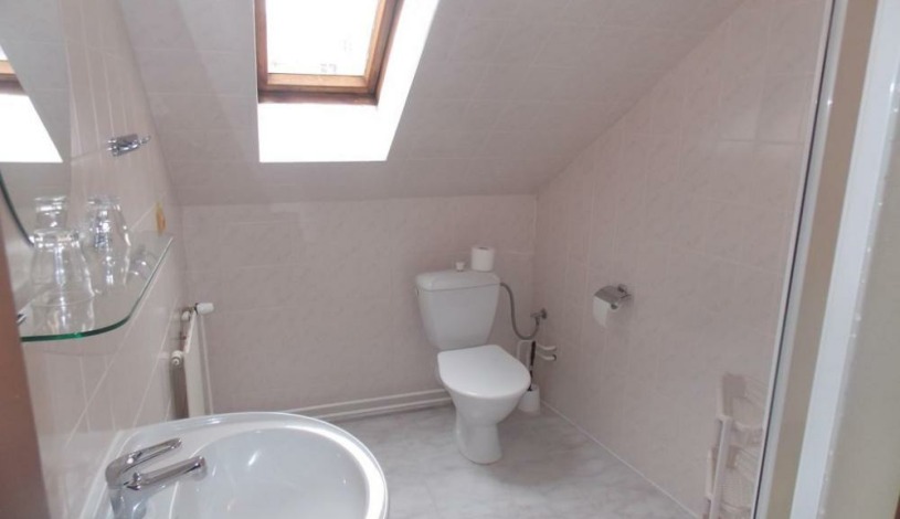 Hotel Myslivna Třeboň - Třílůžkový pokoj, Dvoulůžkový pokoj