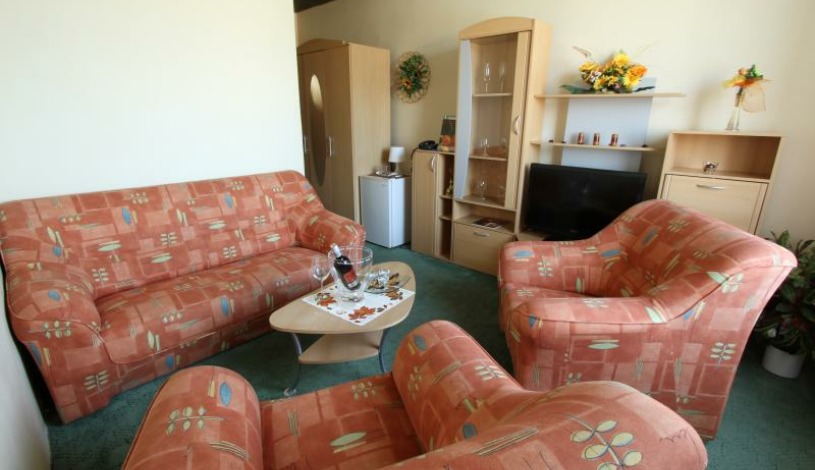 Hotel Slovakia Žilina - Apartmán