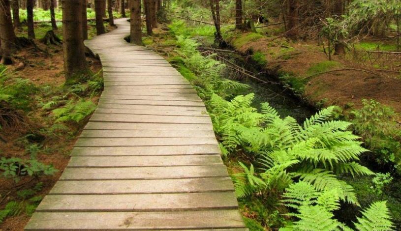 Hotel Slovan Jeseník