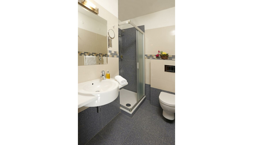 HOTEL SPA SMETANA - VYŠEHRAD Karlovy Vary