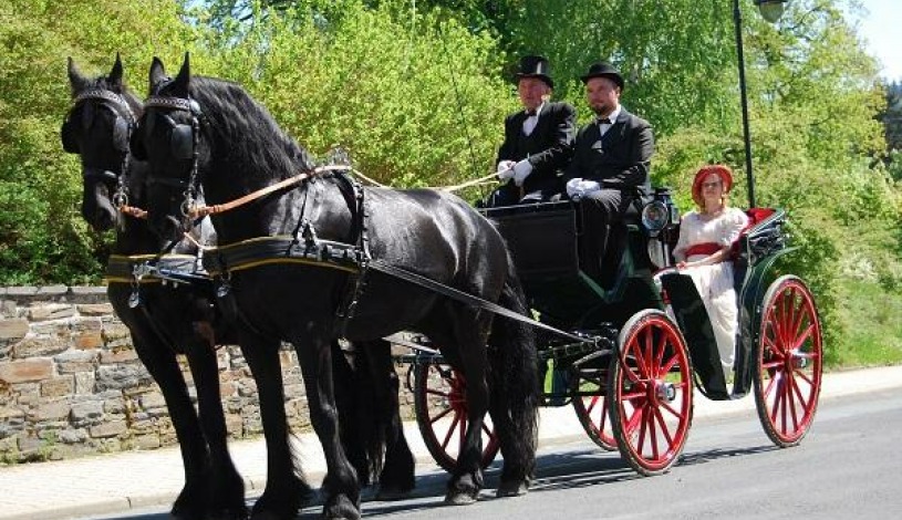 Hotelový RESORT STEIN Cheb