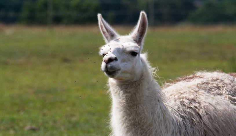 Hotelový RESORT STEIN Cheb