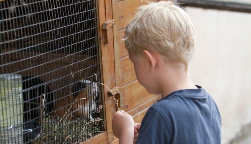 Hotelový RESORT STEIN Cheb