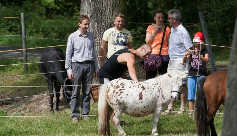 Hotelový RESORT STEIN Cheb