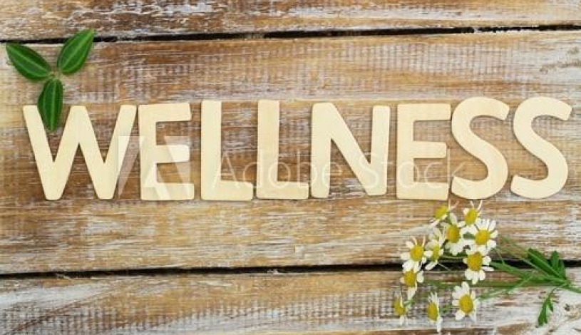 Hotelový RESORT STEIN Cheb