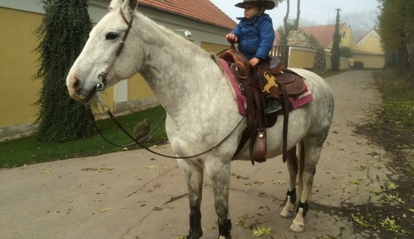 Hotelový RESORT STEIN Cheb