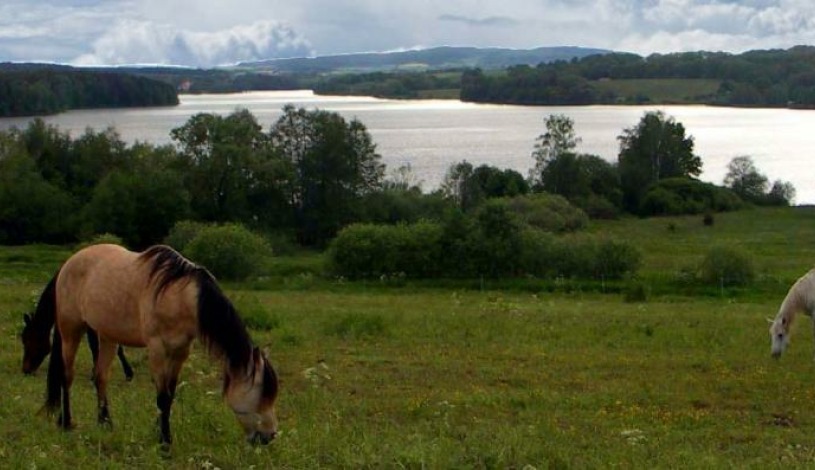 Hotelový RESORT STEIN Cheb