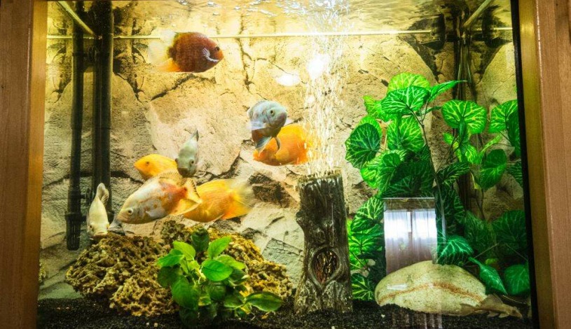 Hotel Taurus Ostrava