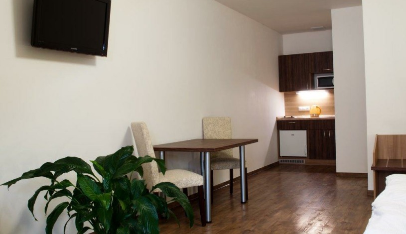 U Daliborky Louny - Dvoulůžkový pokoj s kuchyňkou č. 6, manželská postel , rozloha 45, 56 m2, přistýlka, dětská postýlka, Dvoulůžkový pokoj č. 3, manželská postel, rozloha 26,64 m2