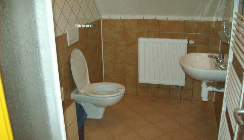 Hotel U Lip Trojanovice - Business 3 osoby, Standard DBL