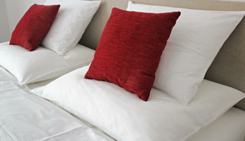 Hotel Vila Viola Luhačovice