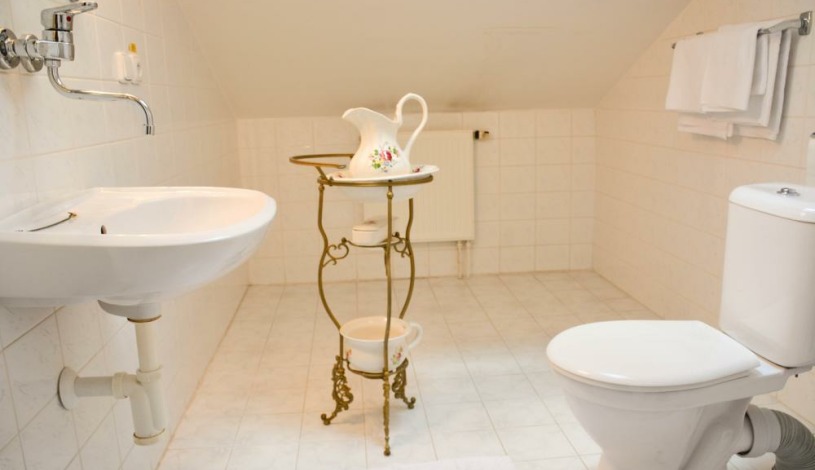 Hotel Zámeček Čeladná Čeladná - Dvojlůžkový se šikmým podhledem , sprcha